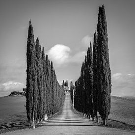 Italien im Quadrat schwarz-weiß, Toskana - Poggio Covili von Teun Ruijters