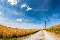 Eenzame weg door korenvelden van Günter Albers thumbnail