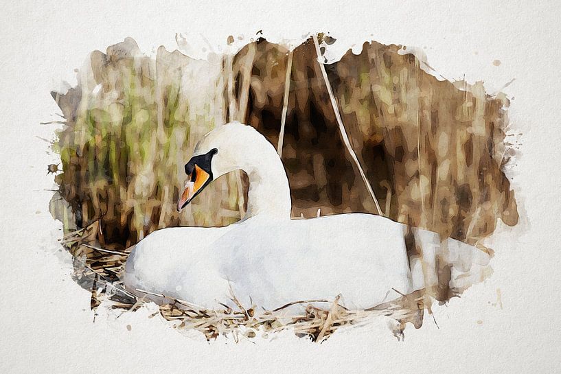 Swan by Jan Bouw