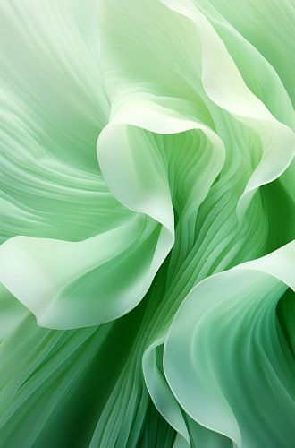 Bloemendans Botanica