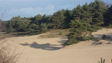 Wekeromse zand luntern van Veluws