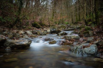 Der Fluss Ninglinspo im Herbst