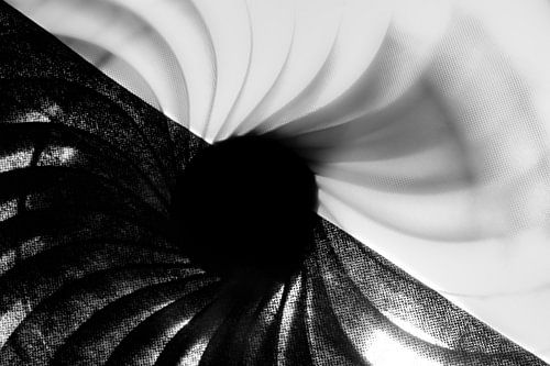 yin-yang concept
