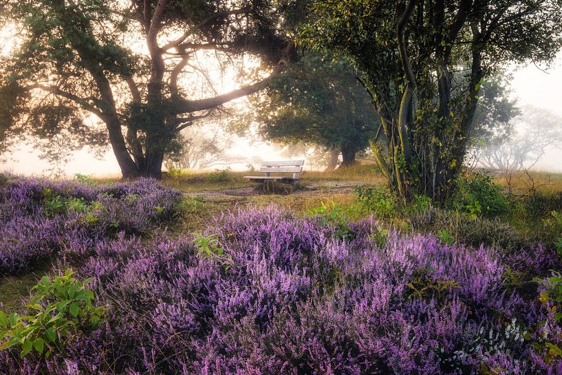 The perfect bench by Loris Photography