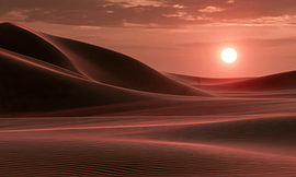 Desert Sunset