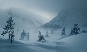 Winterwonder bergwereld van fernlichtsicht