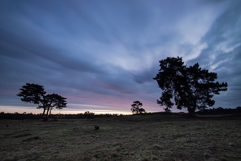 Sunrise on the Heidestein Bornia estate. by Peter Haastrecht, van