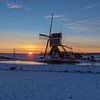 Bonrepasmolen tussen besneeuwde weilanden van Stephan Neven