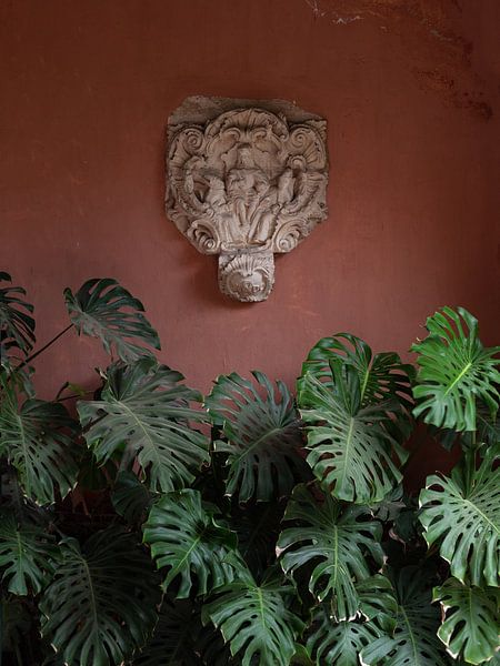 Green leaves against of a pastel pink wall by Teun Janssen