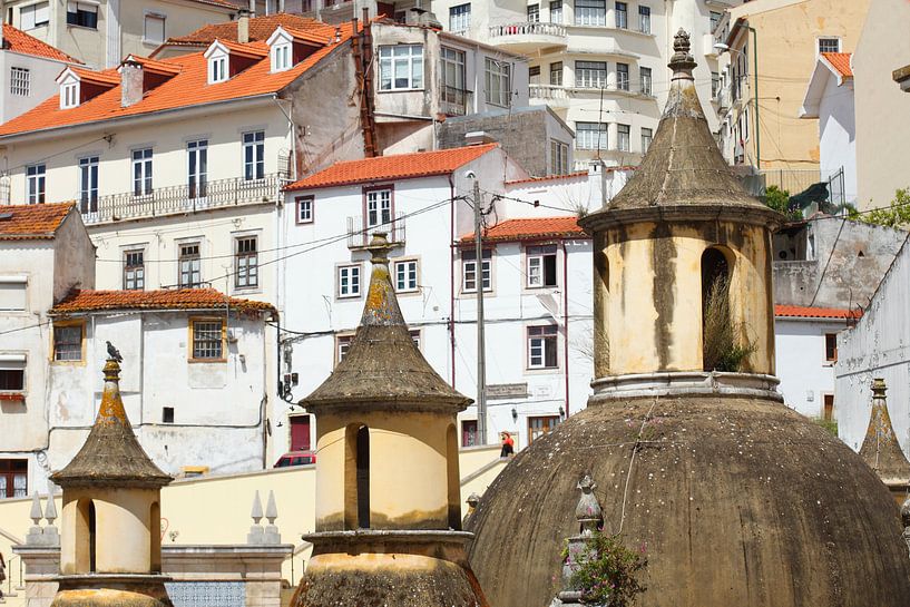 Jardim da Manga, Roof, Old Town, Coimbra, Beira Litoral, Portugal, Europe I Jardim da Manga, Esplana by Torsten Krüger