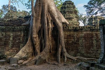 Ta Phrom tempelruïnes, Angkor regio, Cambodja van Peter Schickert