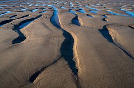 Structures au Zwin sur Kees Kroon