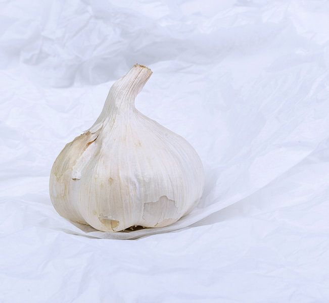 witte knoflook van Willy Sybesma