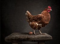 De kip en het ei   - Serie - 1/3