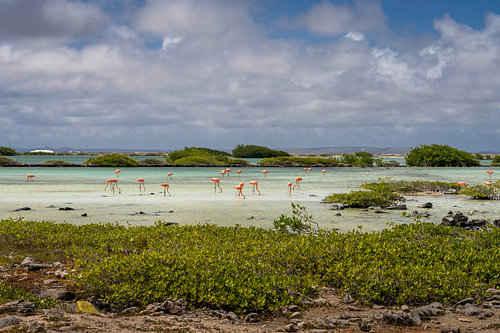 Lac de saumure sur Bart Hendrix