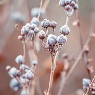 Resting Nature by Color Square