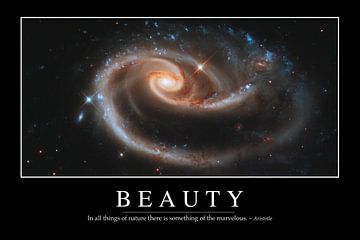 STK107072M-Beauty: Inspirerende en motiverende poster van Stocktrek Images