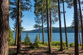 Lake of the Woods by Tashina van Zwam