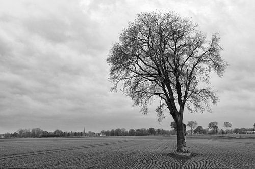 Das flache Land
