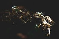 Style my Home series by Liberty Ragazza Biesma