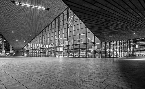 Het Centraal Station in Rotterdam