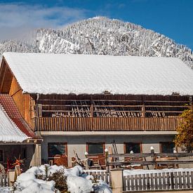 Horse stables in a wintry landscape by Mariette Alders