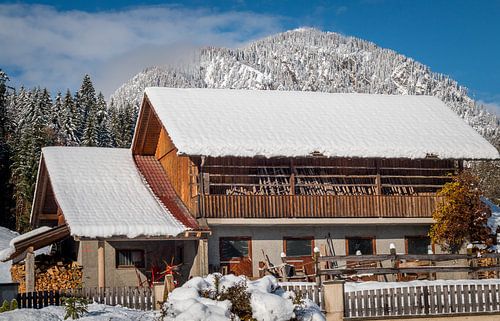 Horse stables in a wintry landscape