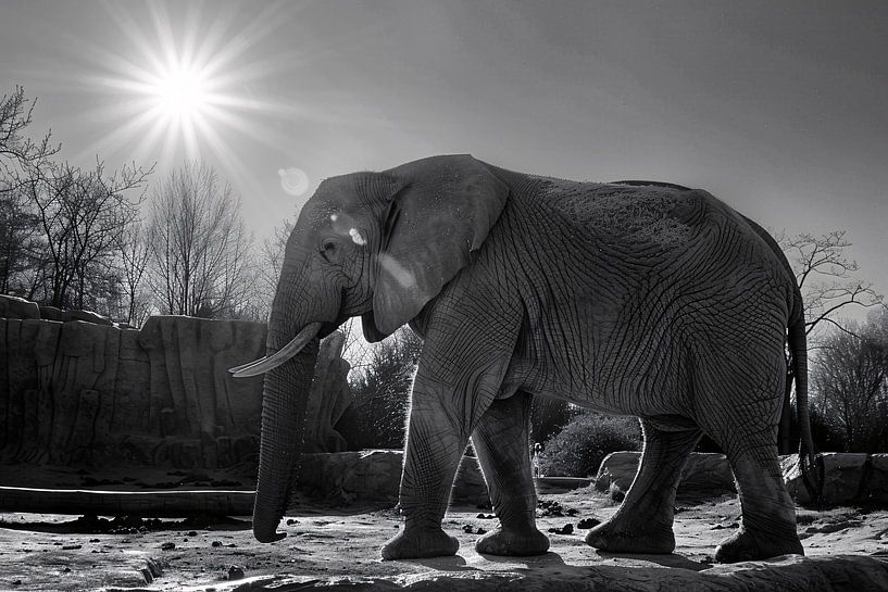 Elephant in African landscape by Art & Soul Creations