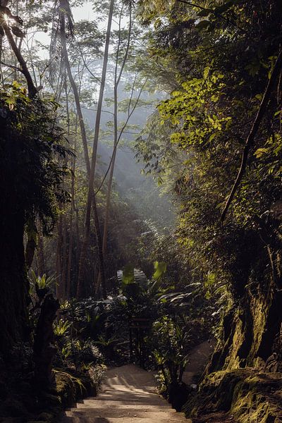 The path of silence by Melanie (Flashpacker)