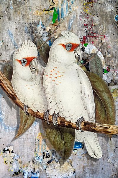 Urban Parrots by Marja van den Hurk