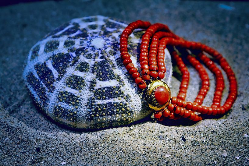 Seeigel mit Blutkorallen-Halskette von Evert Jan Looise