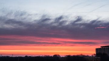 January Sunrise sur Paul Oosterlaak