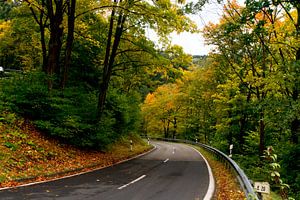 Herfst landschap sur Ineke Huizing