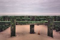 Wellenbrecher Zeeland