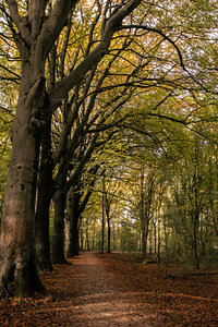 Jahreszeiten in Wassenaar