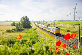 Ein NS-Koploper überquert die Hanzelijn bei Zalk von Stefan Verkerk fotografie