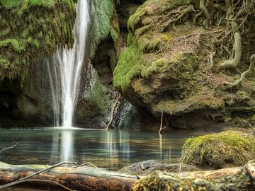 Paradies with waterfall van Carina Buchspies