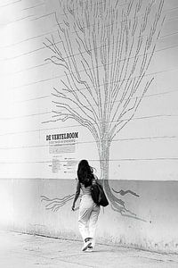 Anvers - arbre à histoires