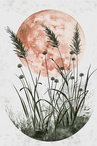 Pampas zonsondergang