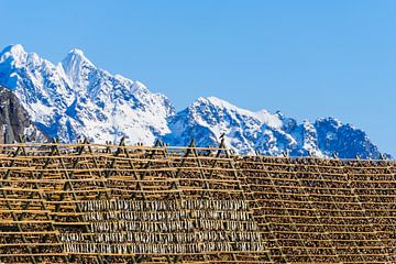 Traditioneel houten frame voor het drogen van vis op de Lofoten-eilanden in de winter met bergen en  van Robert Ruidl