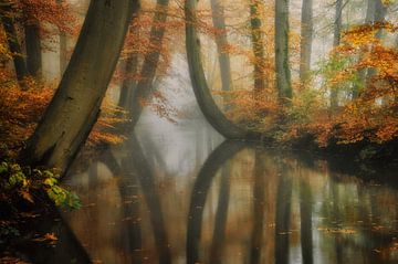 Dreaming van Martin Podt