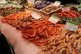 Frischer Fisch, Schalentiere und Meeresfrüchte auf dem Mercat de Boqueria, Barcelona von Shania Lam