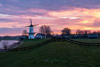 Windmolen De Vlinder