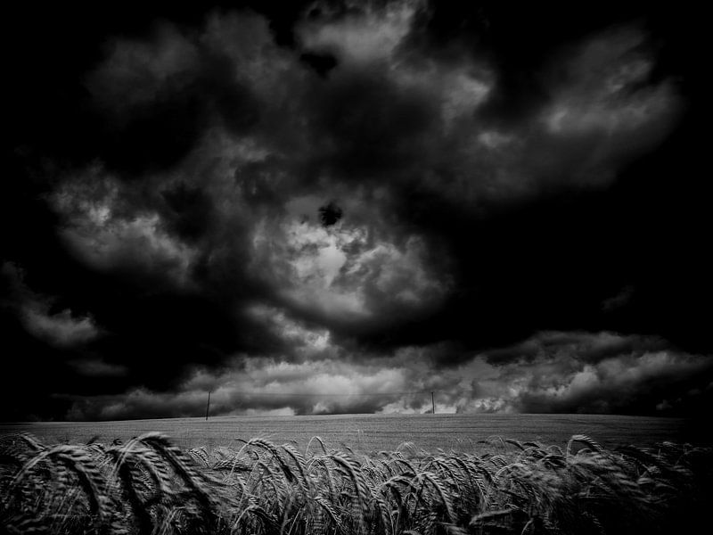 Cloudy van Lex Schulte