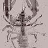 Peinture de homard. Taupe et violet. sur Alie Ekkelenkamp