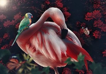 Der Flamingo von Bert Hooijer