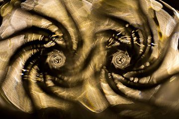 Augen aus Licht in Gold mit Schwarz von Lisette Rijkers