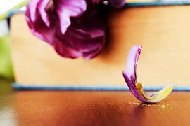 tulp sur Vicky De wilde