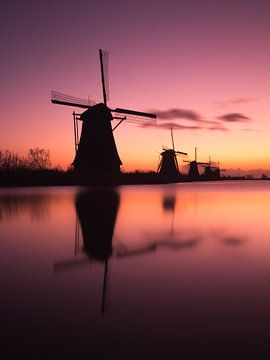 Moulins à Kinderdijk 1