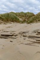 Landscape | Texel | Wadden Island